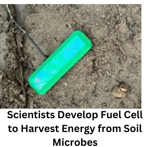 soil powered fuel cell